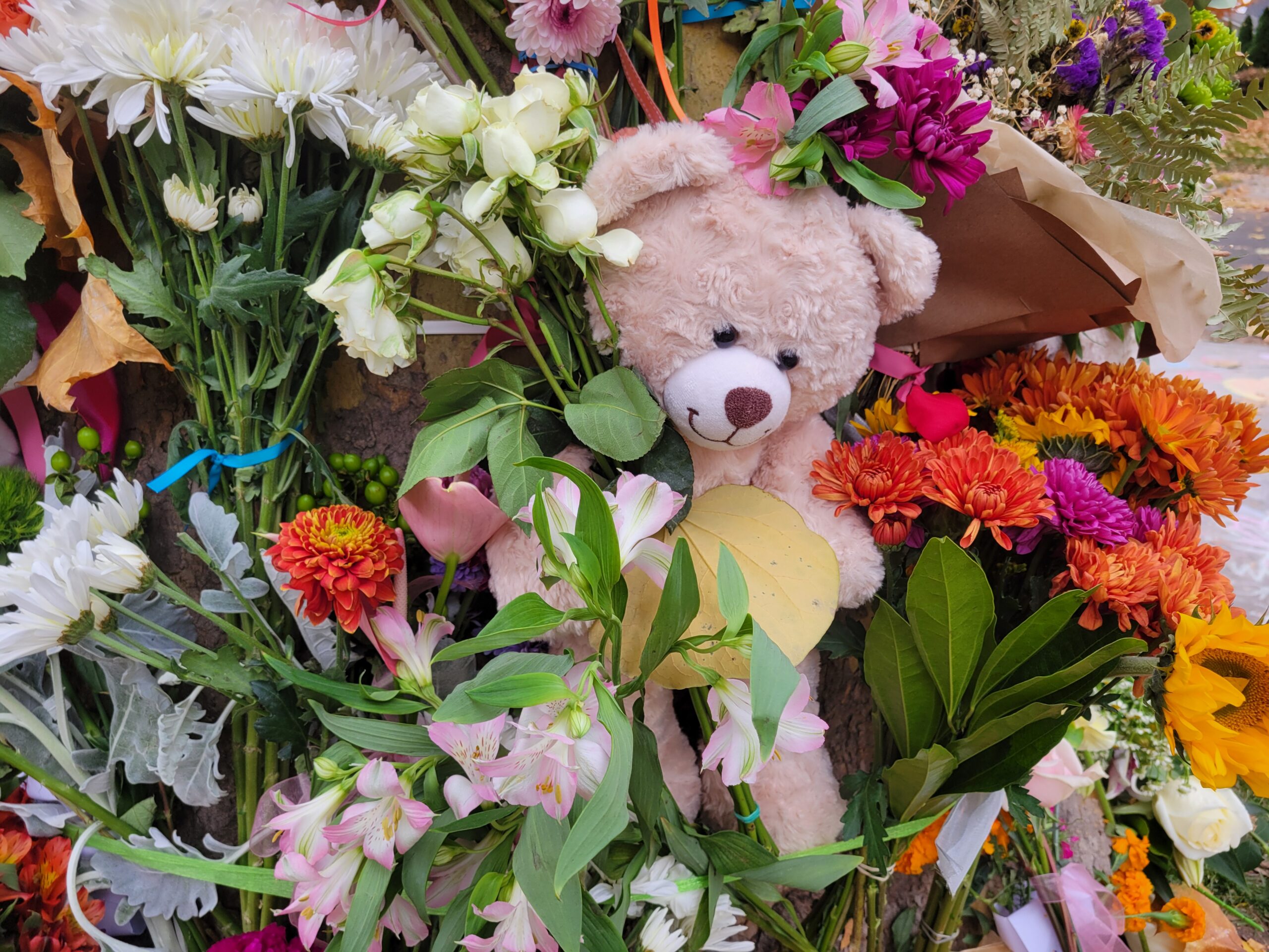 8-Year-Old Girl Dies in Tragic Boise Pedestrian Accident